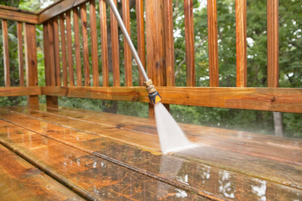 Best Roof Washing  in Pleasanton, CA
